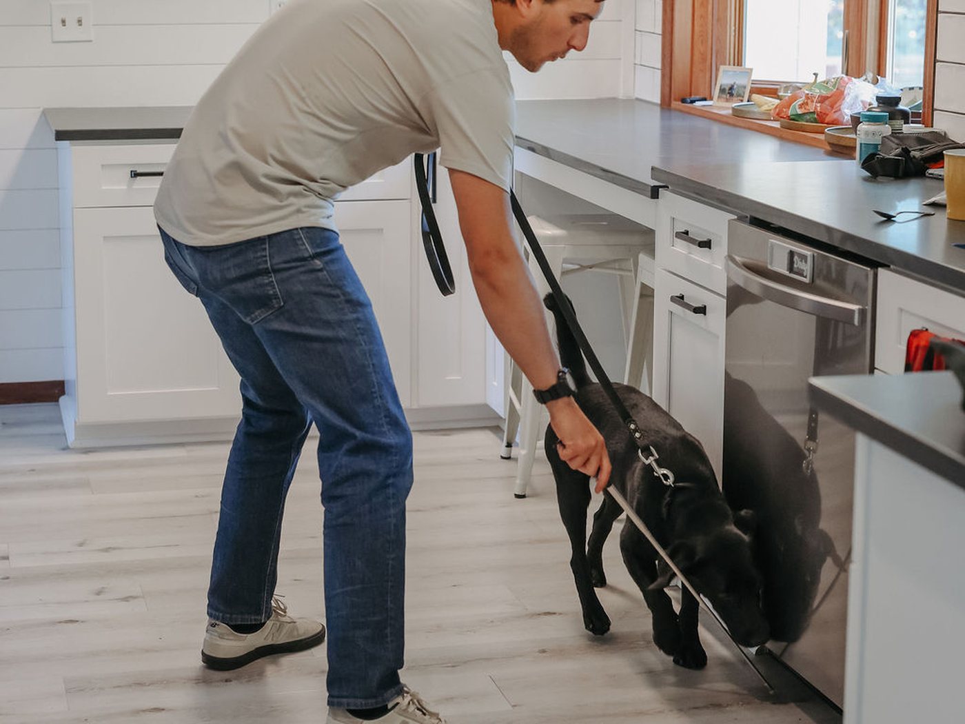 Ben working Winnie along a kitchen cabinet run during a mold inspection
