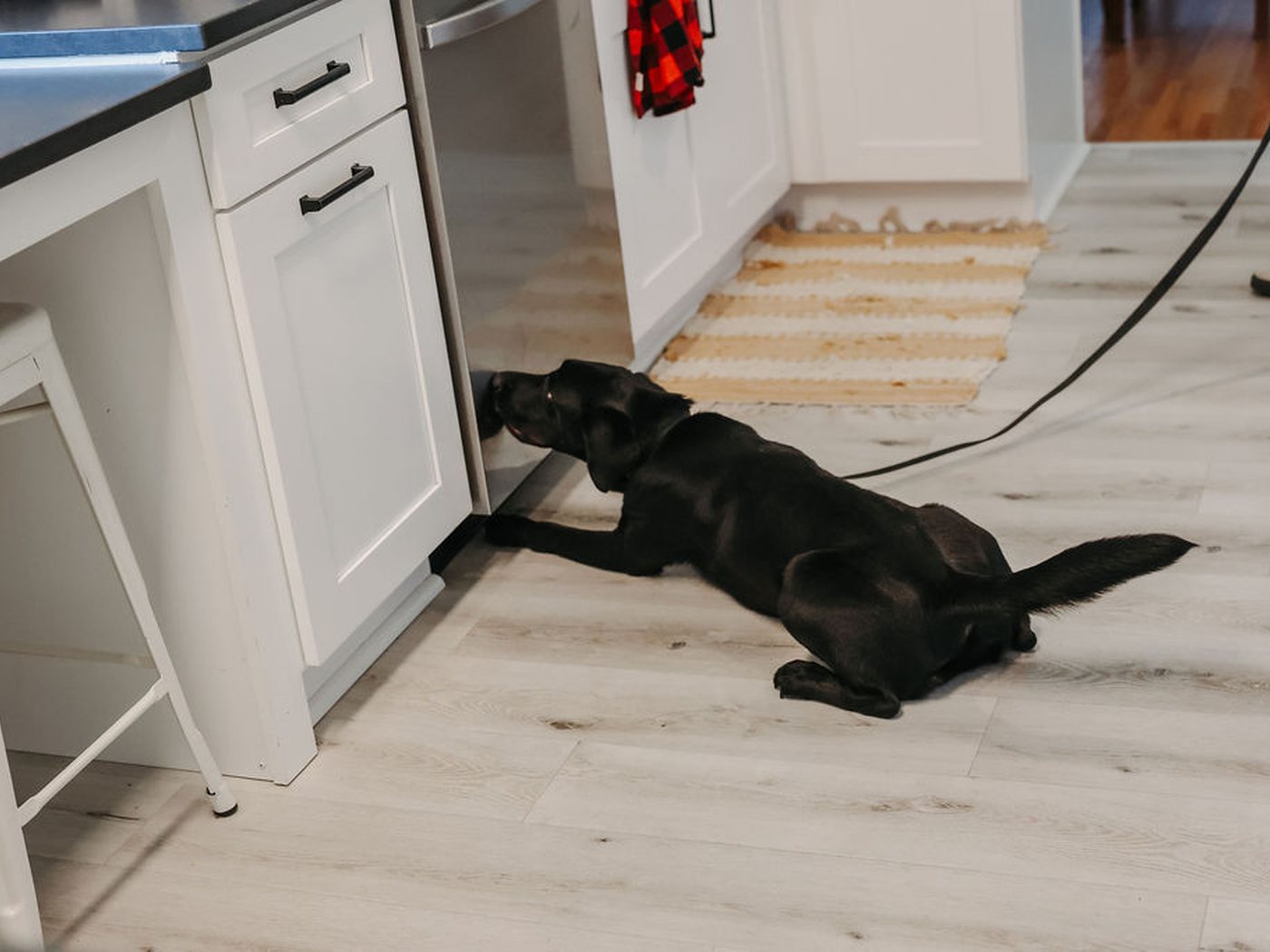 Winnie holding a passive alert at the toe kick of a kitchen cabinet